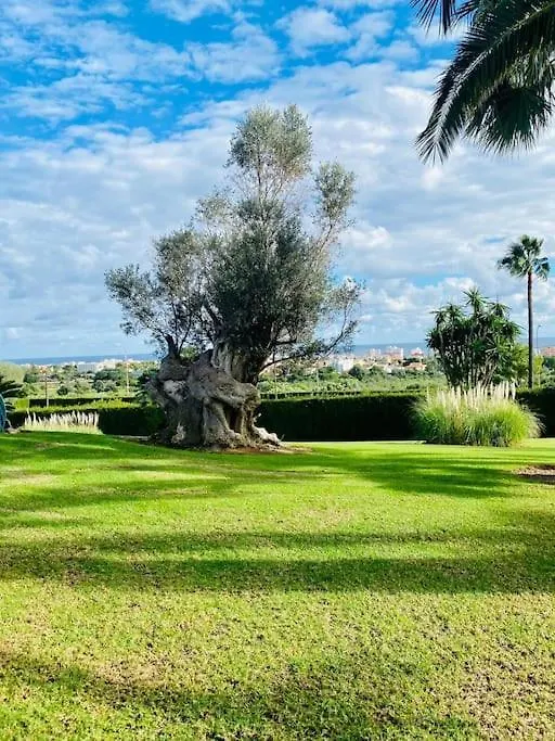 Finca Na Penyal 7 Cala Bona